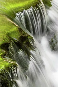 Tennessee Prints: Mountain stream cascading over rocks, Great Smoky Mountains National Park, Tennessee