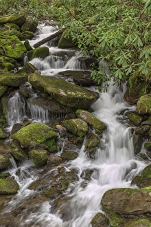 Mountain stream, Great Smoky Mountains National Park, North Carolina
