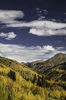 Images Dated 31st January 2016: Mountain vista covered in autumn aspen trees, from Million Dollar Highway, near Ouray