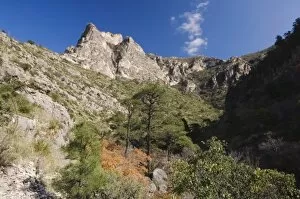 Mountains and canyon, McKittrick Canyon, Guadalupe Mountains National Park, Texas, USA