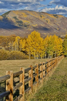 Fence Line Prints: Mountains around Township of Aspen fall along Owl Creek Road with wooden fence autumn