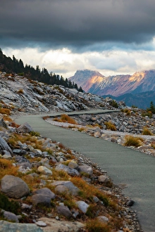 Pathway Prints: Mt. Baker Ski Area and Artists Point area, Washington State, USA