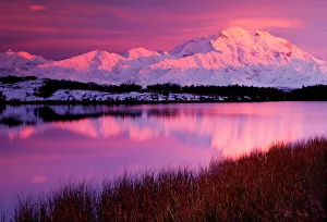 Beautiful Prints: Mt. Denali at sunset from Reflection Pond