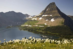 MT, Glacier National Park, Logan Pass, Hidden Lake and Bearhat Mountain with beargrass