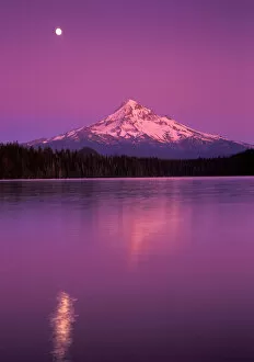 Images Dated 24th October 2005: Mt Hood seen in moon light night, Lost Lake, Oregon Cascades