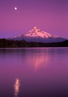 Images Dated 24th October 2005: Mt Hood seen in moon light night, Lost Lake, Oregon Cascades