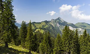 Foothill Prints: Mt. Kampenwand in the Chiemgau Alps in upper Bavaria. Europe, Germany, Bavaria
