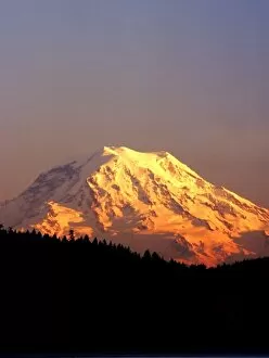 Images Dated 15th November 2007: Mt. Rainier is bathed in the setting sun