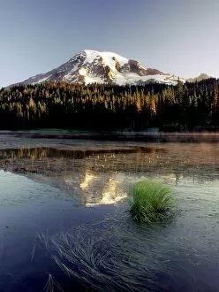 Images Dated 15th November 2007: Mt. Rainier is captured in Reflection Lake at peak of summer