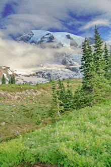 Images Dated 7th September 2023: Mt. Rainier within the national park