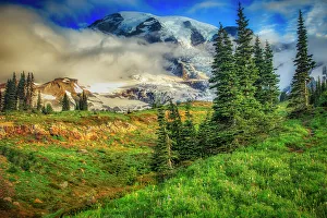 Mt. Rainier within the national park