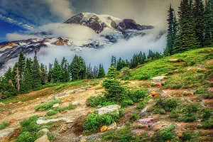 Mt. Rainier within the national park