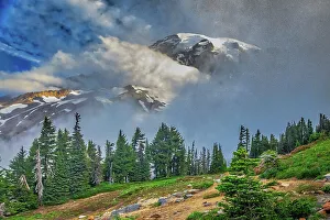 Mt. Rainier within the national park