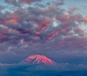 Rainier Prints: Mt. Rainier at sunset, Washington State