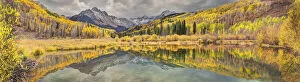 Mt. Snaffles and a sea of gold Aspen trees reflects in a large pond in autumn in the