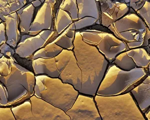 Cracked Prints: Mud Cracks in Death Valley National Park in California