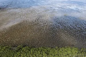 Georgetown Prints: Mud patterns on beach East coast GUYANA South America