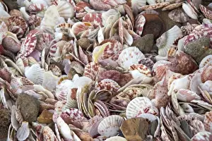 Southern Vietnam Prints: Mui Ne, Vietnam. Mui Ne, a small fishing village famous for its fish sauce is
