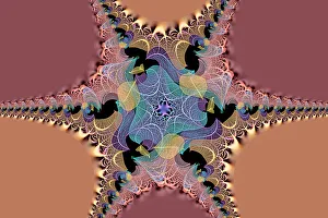 Prints of Multi-colored skeleton leaves arranged on black background Images Dated 2022 June: Multi-colored skeleton leaves arranged on black background