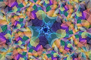 Multi-colored skeleton leaves arranged on black background
