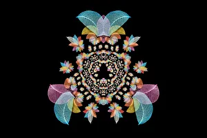 Skeleton Prints: Multi-colored skeleton leaves arranged on black background
