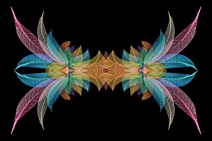 Skeleton Prints: Multi-colored skeleton leaves arranged on black background