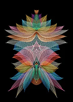 Skeleton Prints: Multi-colored skeleton leaves arranged on black background