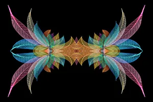 Skeleton Prints: Multi-colored skeleton leaves arranged on black background