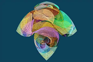Multicolor Prints: Multi-colored skeleton leaves arranged on black background