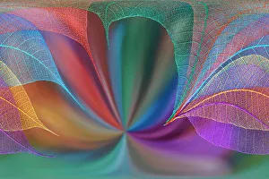 Multicolor Prints: Multi-colored skeleton leaves arranged on colorful background