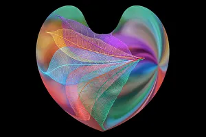 Skeleton Prints: Multi-colored skeleton leaves arranged in heart-shape on black background