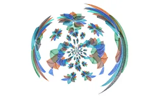 White Background Prints: Multi-colored skeleton leaves arranged on white background