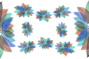 White Background Prints: Multi-colored skeleton leaves arranged on white background