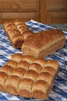 Homemade Prints: Multigrain rolls and loaf on cooling rack on counter covered by tea towel