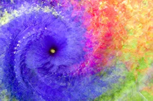 Center Prints: Multiple exposure of flowers with twirl for abstract effect