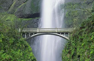 Prints of Multnomah Falls and bridge, Mount Hood National Forest, Columbia Gorge National Scenic Area, Oregon Images Dated 2018 December: Multnomah Falls and bridge, Mount Hood National Forest