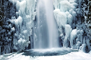 Falls Prints: Multnomah Falls in Winter: Columbia Gorge, Oregon, USA