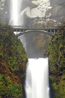 Moss Covered Prints: Multnomah Falls; winter; Guy S. Talbot State Park; Oregon; USA
