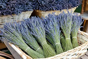 Bunch Prints: Munich, Germany. Farmers market. Basket of dried lavender
