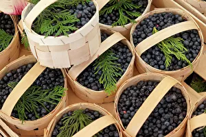Vendor Prints: Munich, Germany. Farmers market. Wild blueberries