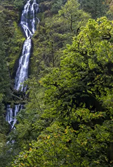Munson Creek Falls near Tillamook, Oregon, USA