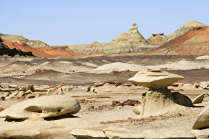Images Dated 13th October 2006: Mushroom and Pinacles in Bisti Wilderness Badlands, New Mexico