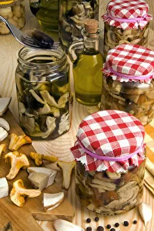 Fungi Gallery: Mushrooms in jar preserved in olive oil