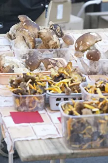 Mushrooms (porcini or cepes and chanterelles) for sale at a market stall at the market