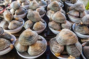 Seafood Prints: Mussles for sale at the fish market in Busan, South Korea