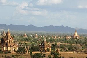 Myanmar, Bagan, Temple packed plain of Bagan and its green bushes, and golden sikhara
