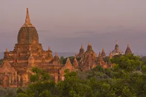 Myanmar. Bagan. Temples of Bagan in the purple pre-dawn light