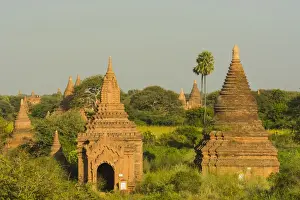 Bagan Prints: Myanmar. Bagan. View of the temples dotting the plain of Bagan from the Minochantha