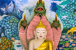 Images Dated 21st November 2014: Myanmar. Mandalay. Sagaing Hill. Soon U Pon Nya Shin Paya. Buddha with the nagas behind