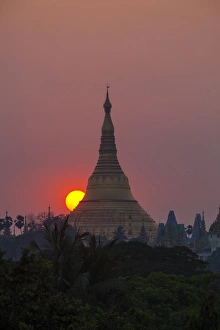 Burma Prints: Myanmar, Yangon. Schwedagon Temple at sunset